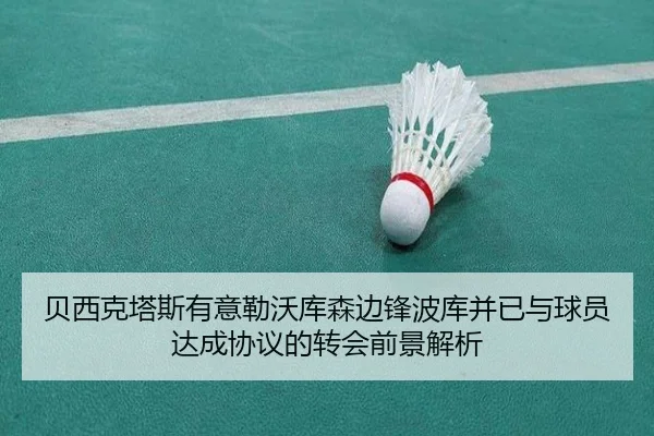 贝西克塔斯有意勒沃库森边锋波库并已与球员达成协议的转会前景解析 | Kaiyun